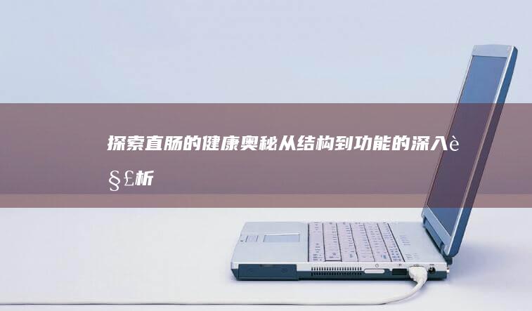 探索直肠的健康奥秘：从结构到功能的深入解析